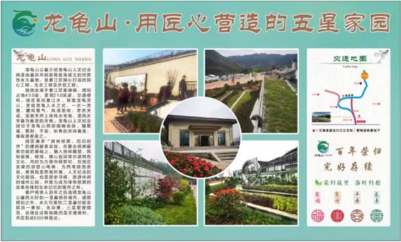 給姥姥的問候