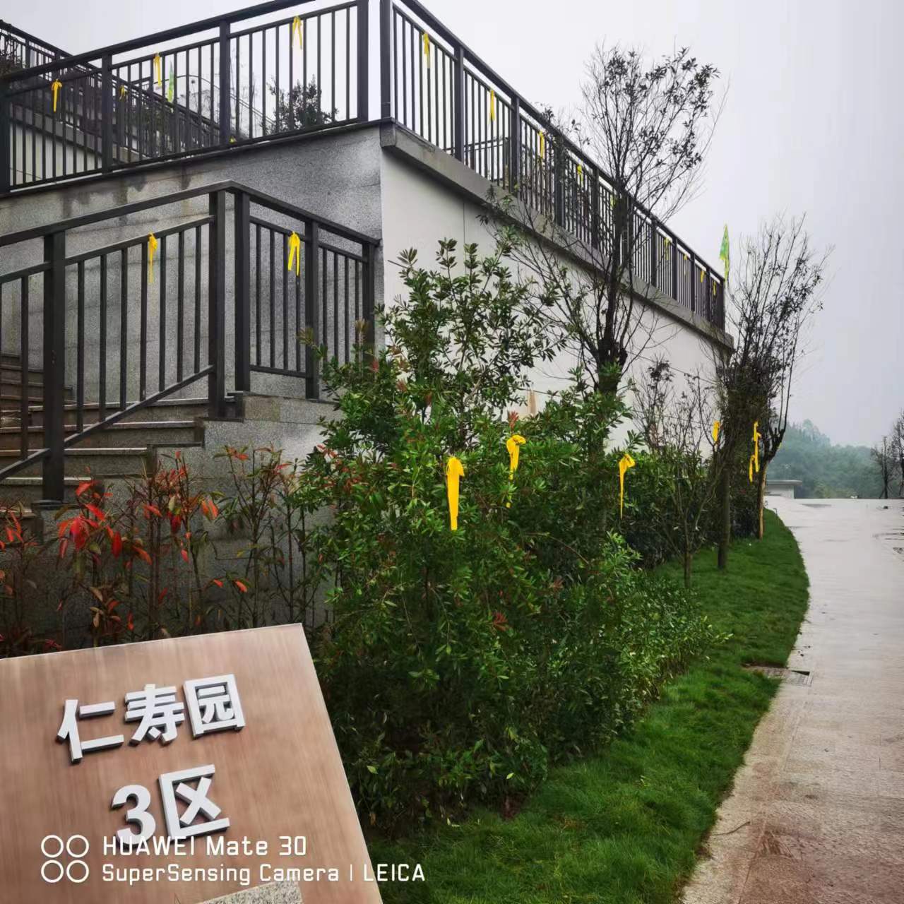 生命“擺渡人”