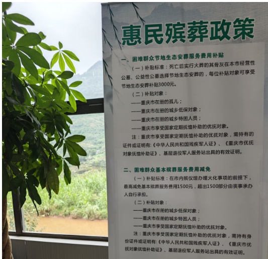綦江區召開專題會，研究深化活人墓整治工作